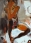 http://www.pic-art.de/wp-content/gallery/canvas/thumbs/thumbs_dsc_6736b_large.jpg